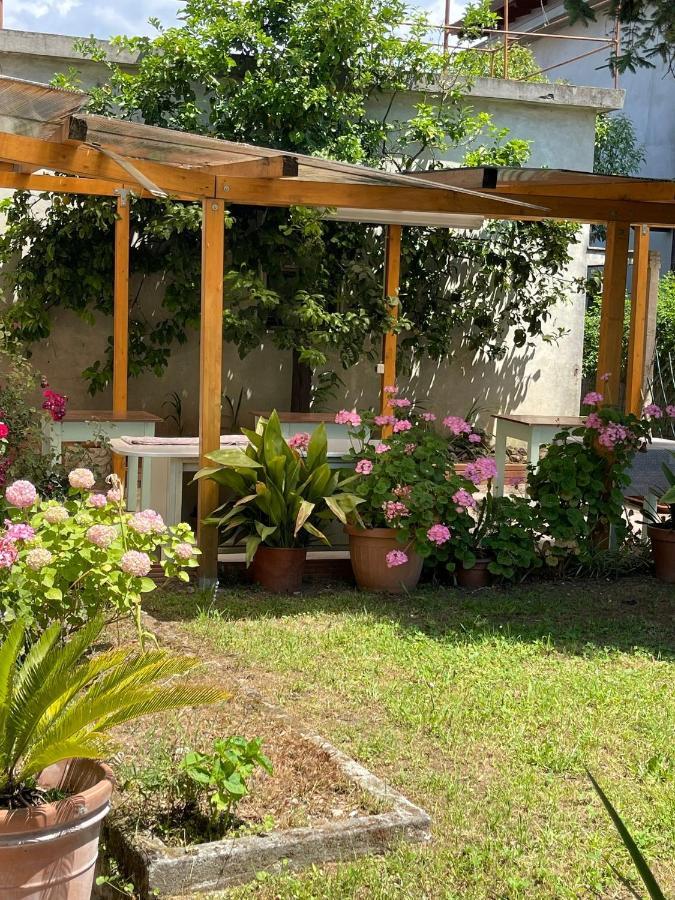 Casa Violetta Bed & Breakfast Marina di Massa Exterior photo